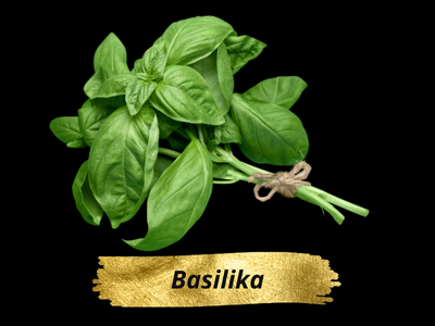 Basilika