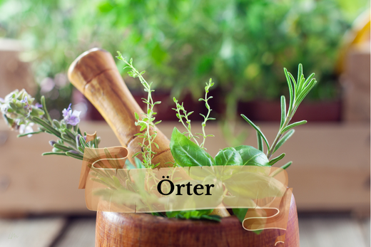 Örter